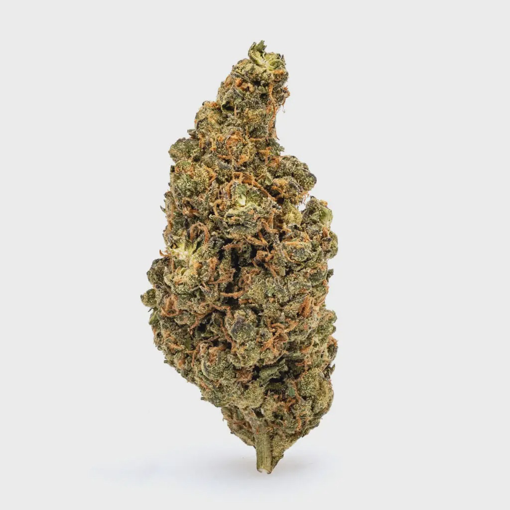 THCa Flower Amnesia Haze / 1 g